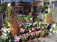 The Flower Shop Bromley   Florist 1099977 Image 3